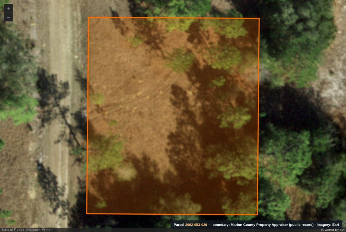 Aerial parcel map for 2002-053-029, Marion County FL